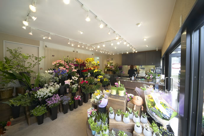 дизайн интерьера цветочного магазина