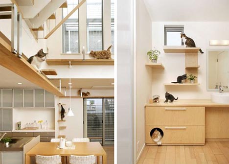 Дом для кошек