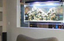 аквариум в квартире