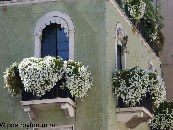 Цветущий балкон 