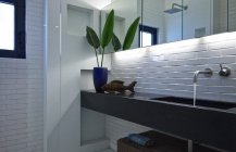 Черно белый дизайн ванной комнаты