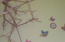 На моей стене много птичек